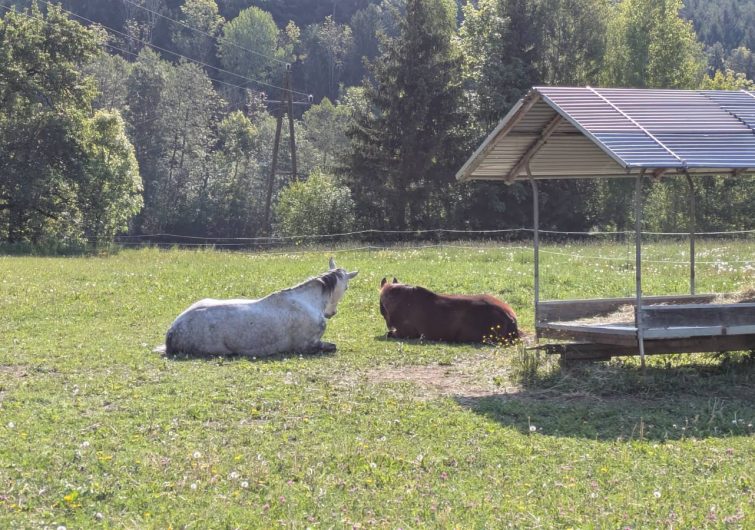 fruehling_2601