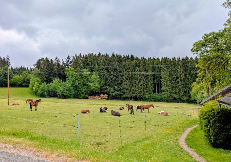 fruehling_2603